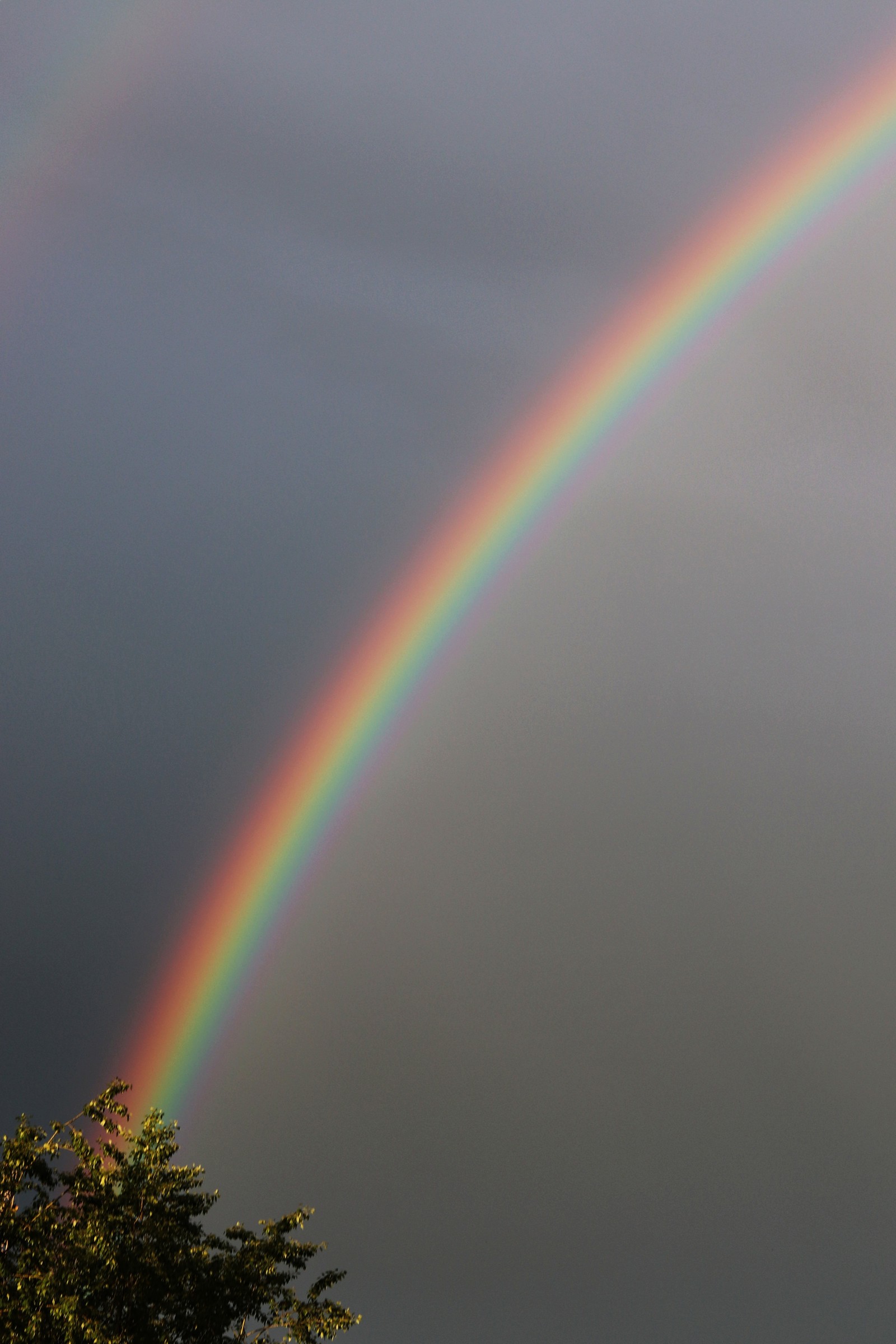 Today outside the window. - My, Rainbow, Outside the window, The photo, Photographer, Landscape, Ivanovo