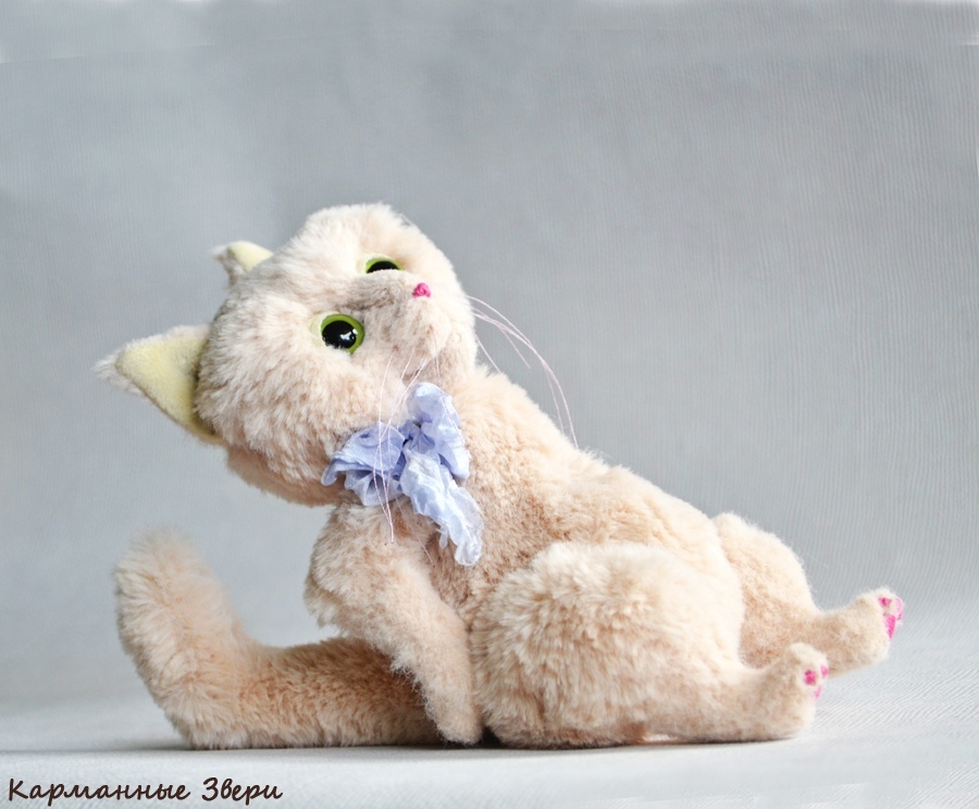 Julius cat - My, Pocket animals, Handmade, Author's toy, Needlework without process, Longpost, cat