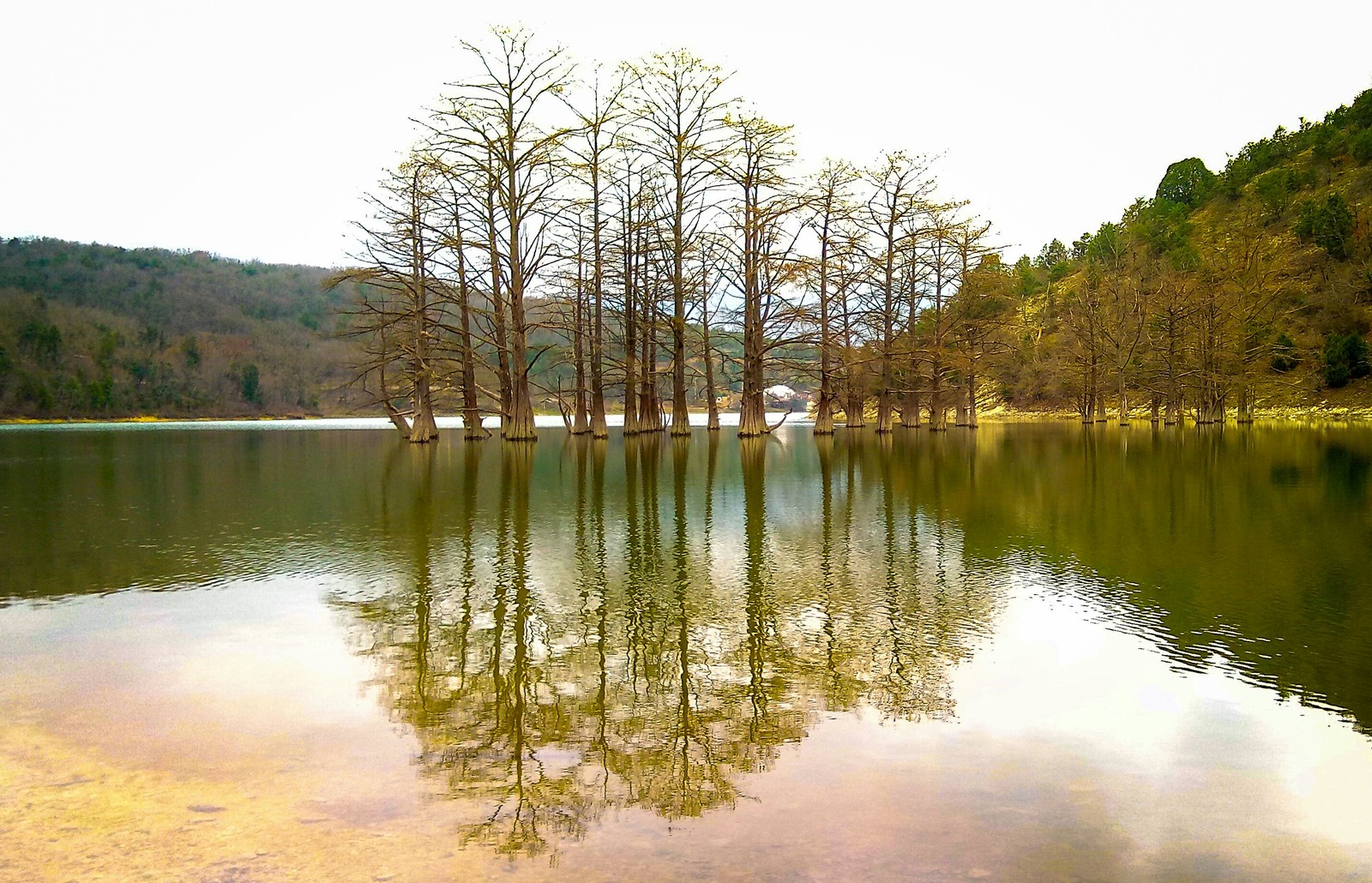 Lake Sukko and cypresses. Sukko is beautiful! - My, Travels, Nature, The photo, beauty