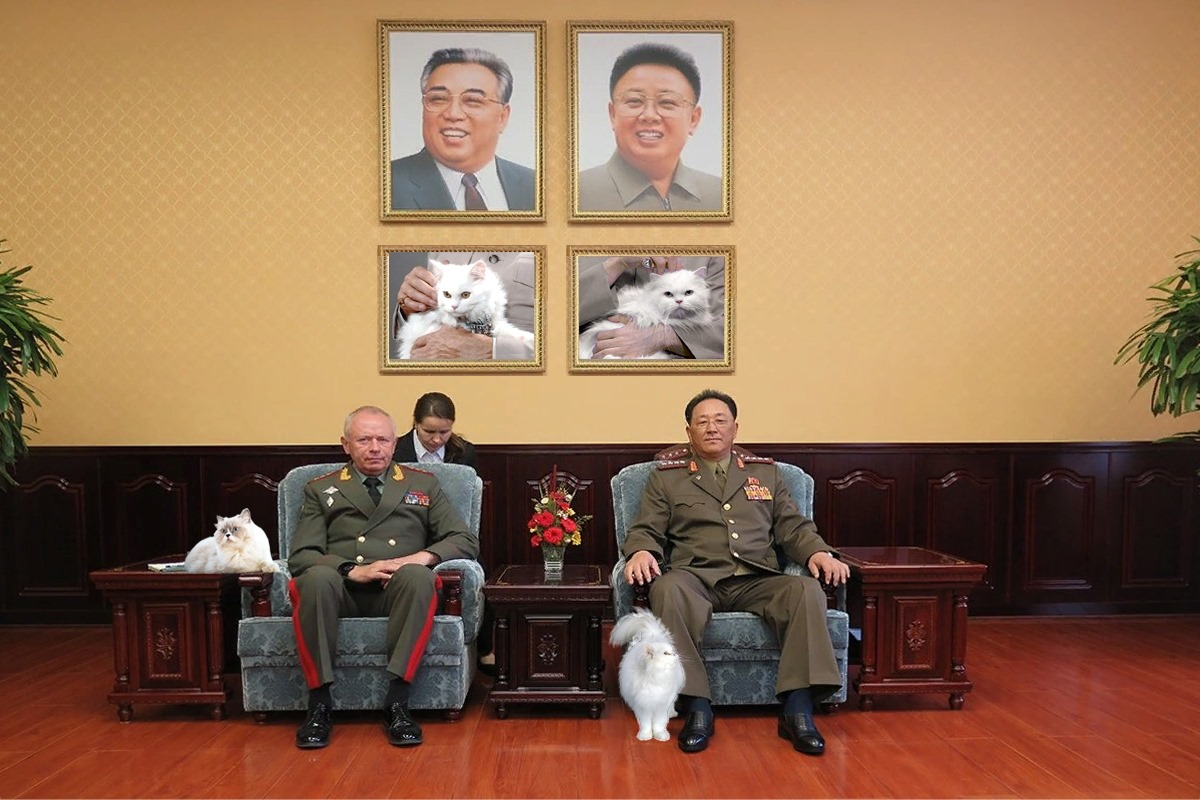 But in fact - the kindest soul people - cat, Catomafia, Russia, North Korea, General, Milota