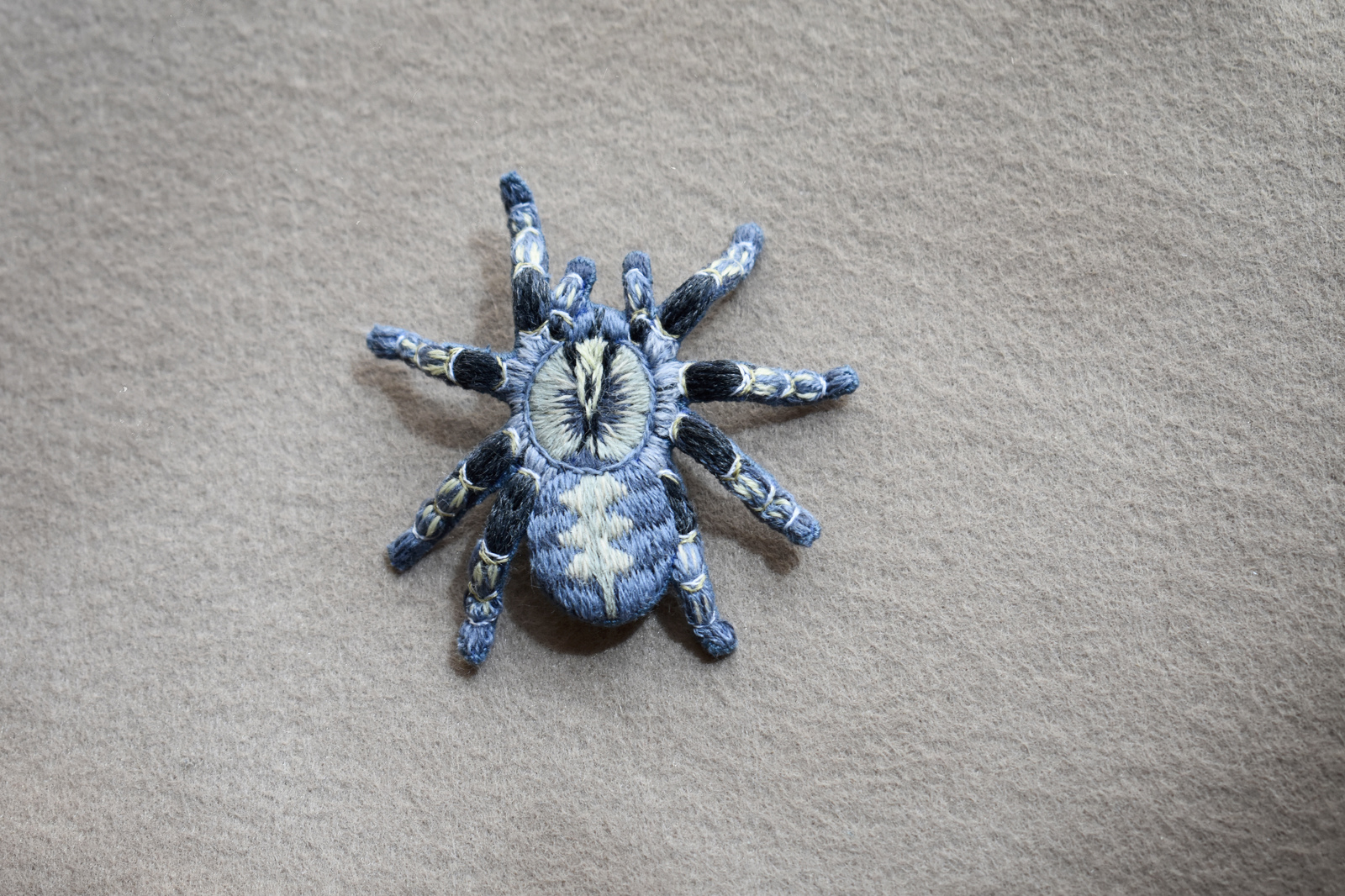 My embroidered pets - My, Needlework without process, Brooch, Spider, Embroidery, With your own hands, Longpost