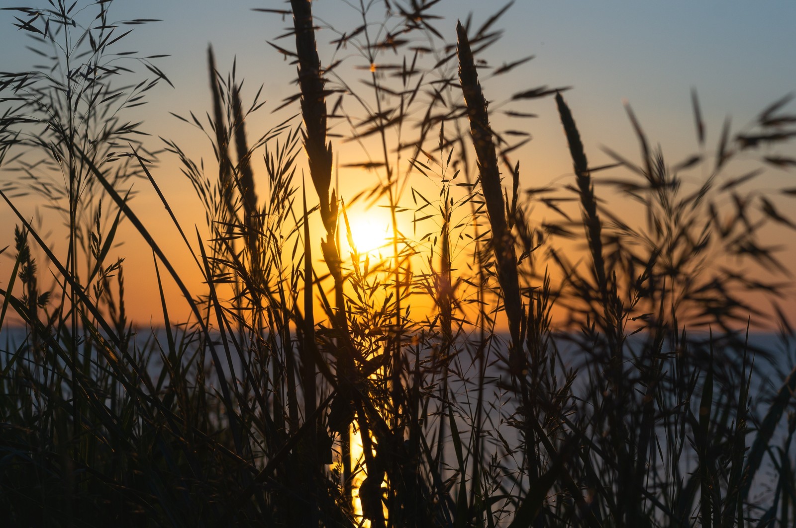 Ventilated, zakatnichal, and you can work! - My, The photo, Sea, Baltic Sea, Kaliningrad region, , Sunset, Summer, Longpost, Helios 44m