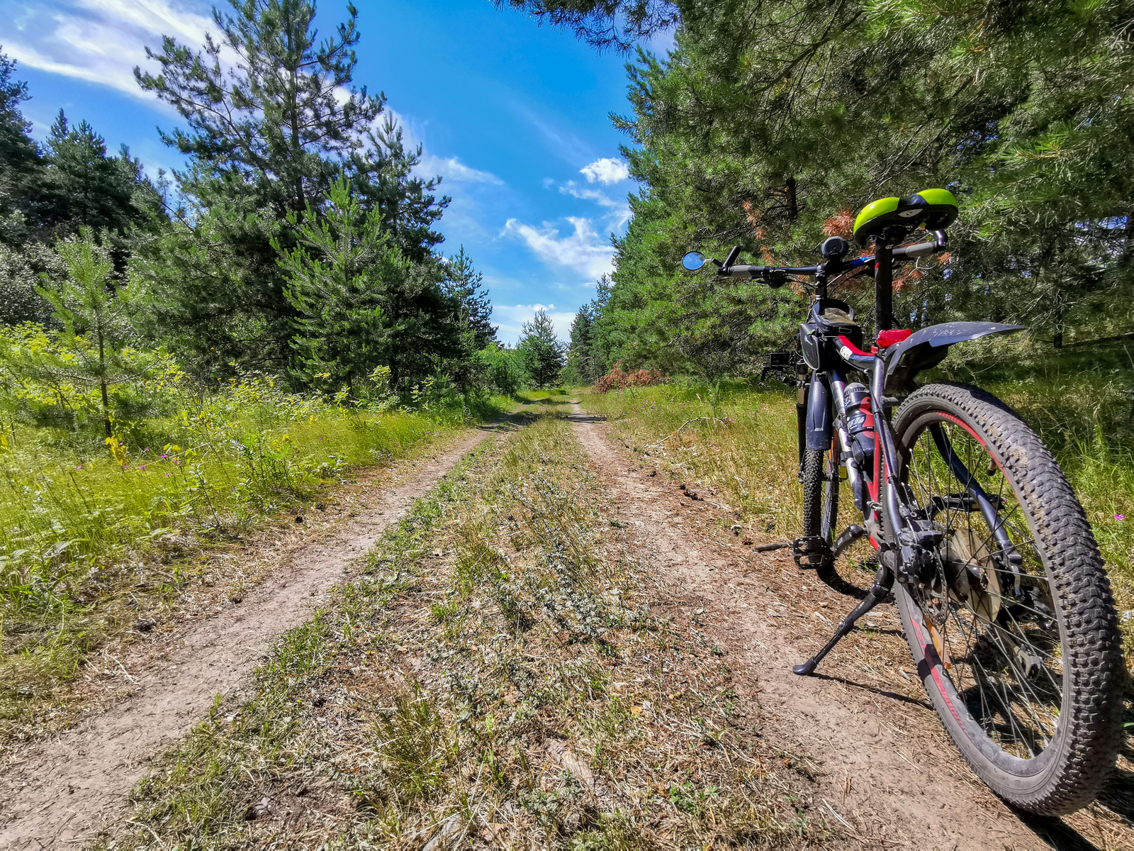 Photo bike ride - My, Dzerzhinsk, Longpost, Mobile photography, Huawei mate 20, A bike, Nature, Berries, Mushrooms