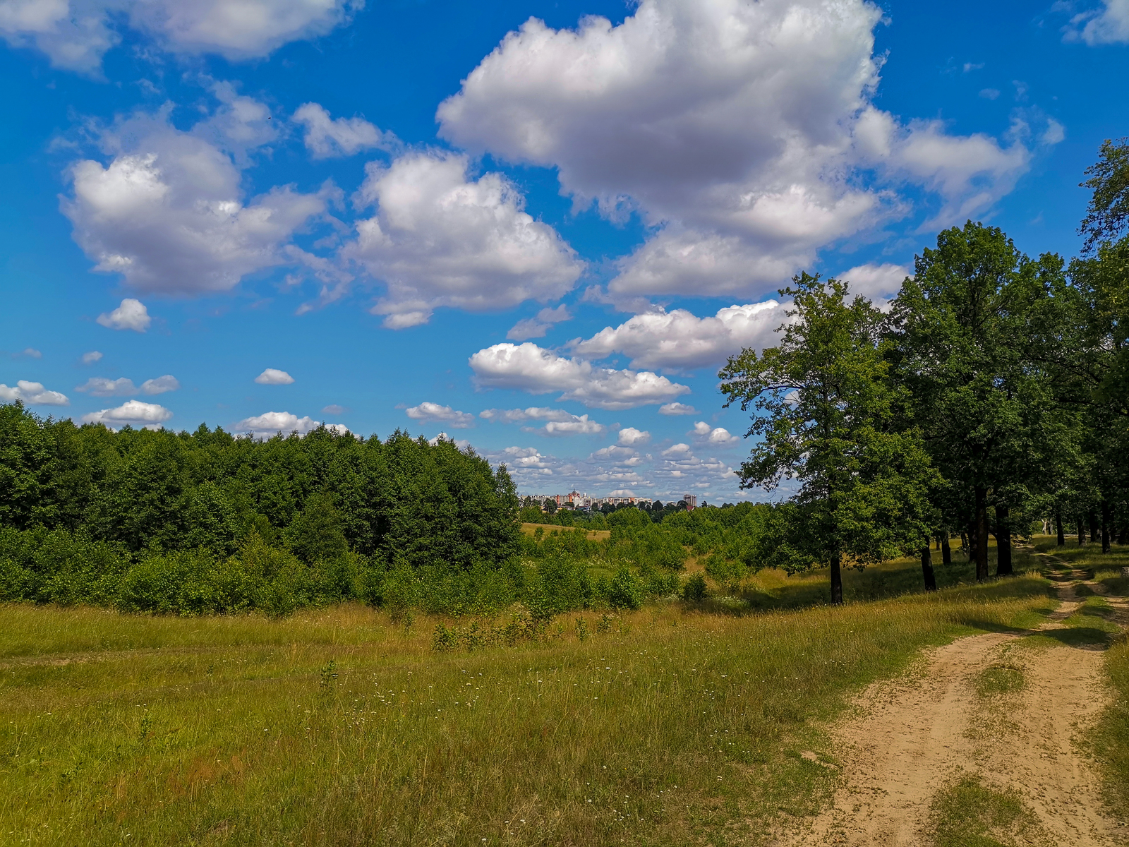 Photo bike ride - My, Dzerzhinsk, Longpost, Mobile photography, Huawei mate 20, A bike, Nature, Berries, Mushrooms