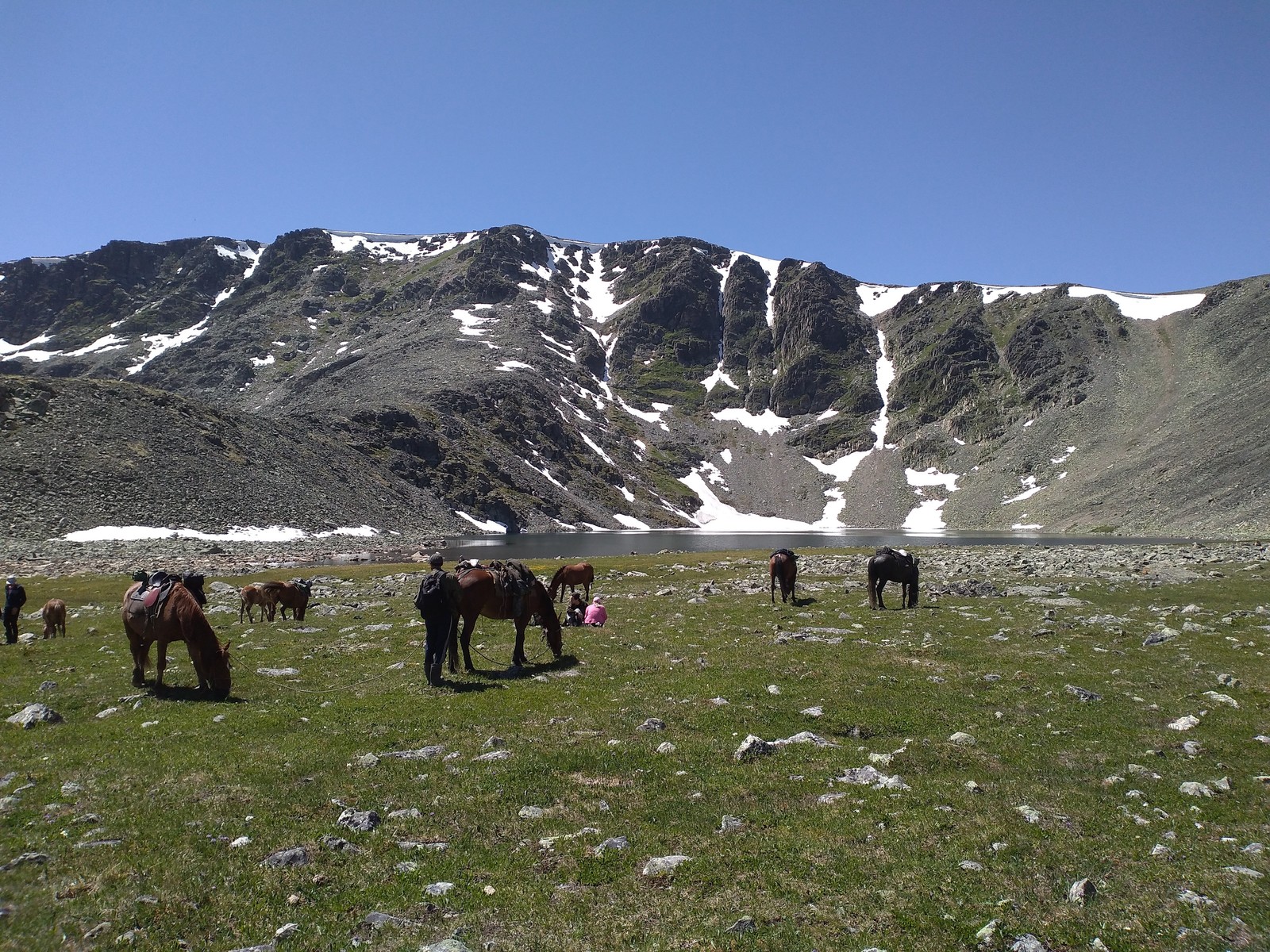 Rest in Gorny Altai. - My, Camping, Mountain Altai, Longpost, Altai Republic