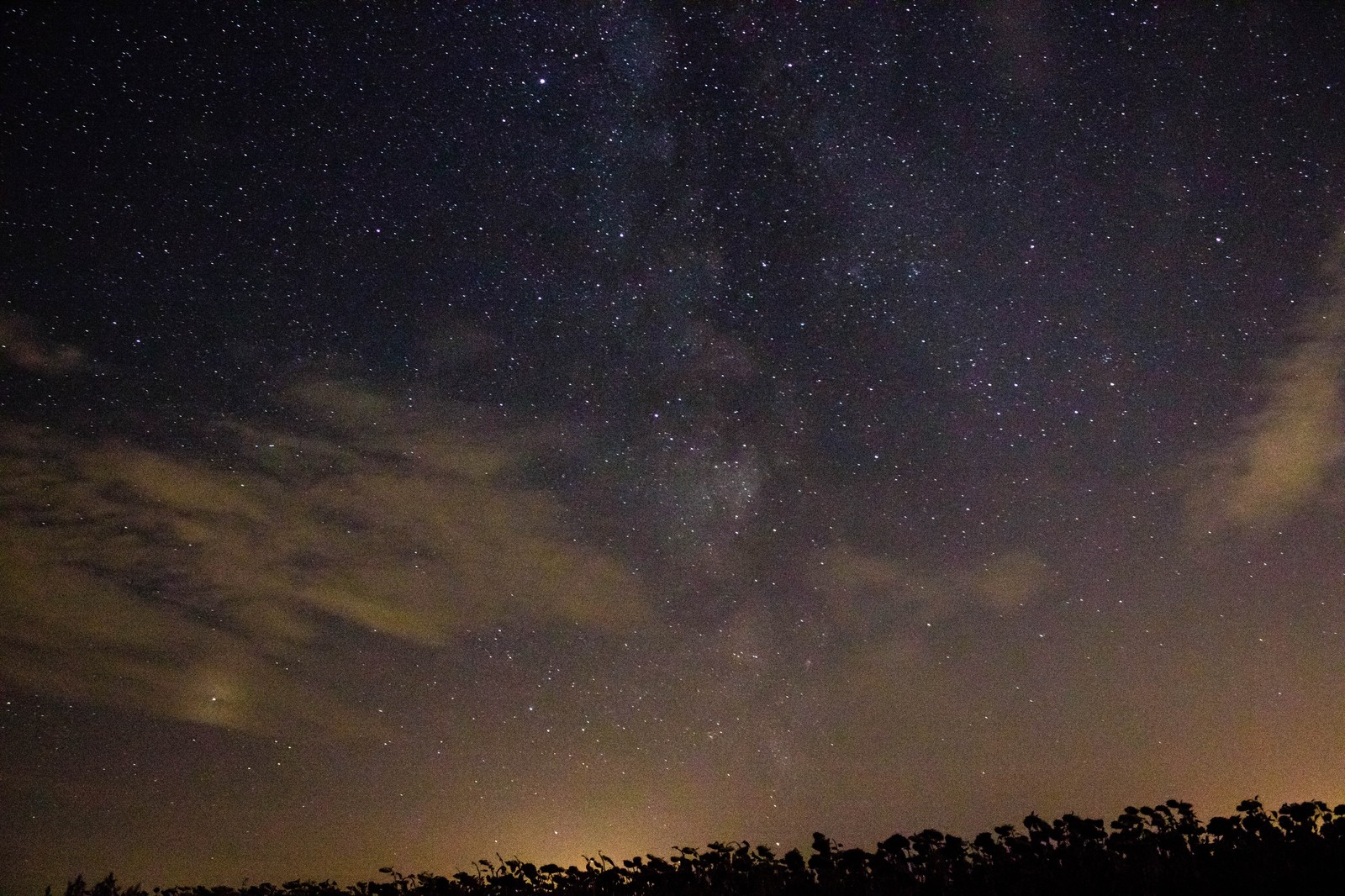 Night sky. - My, Starry sky, The photo