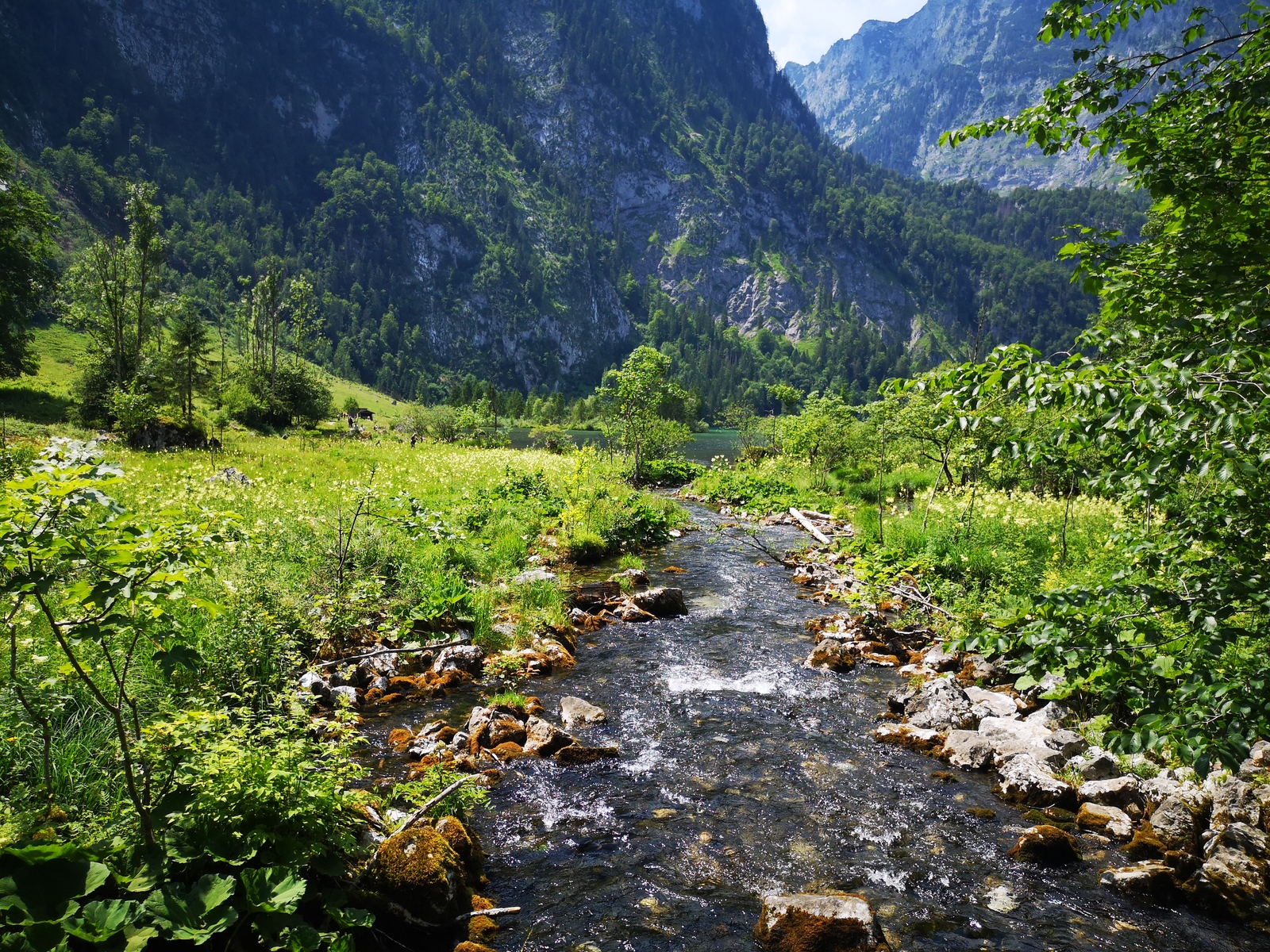 Lake Konigssee, Alps, Bavaria - My, bavarian alps, Lake, Nature, Longpost, Alps