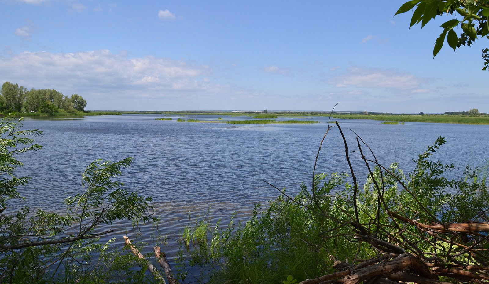 Tent - My, Nature, Tourism, Fishing, Samara Region, Longpost