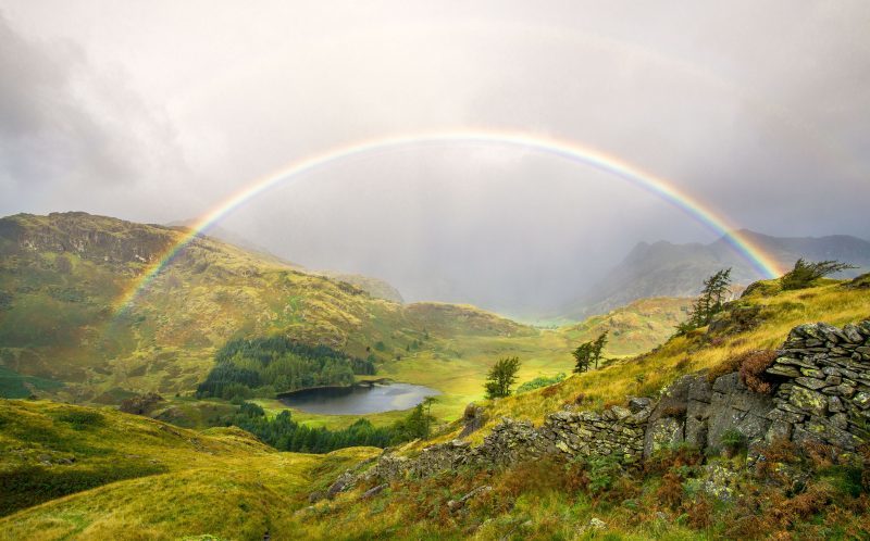 Rainbow - Радуга, Фотография