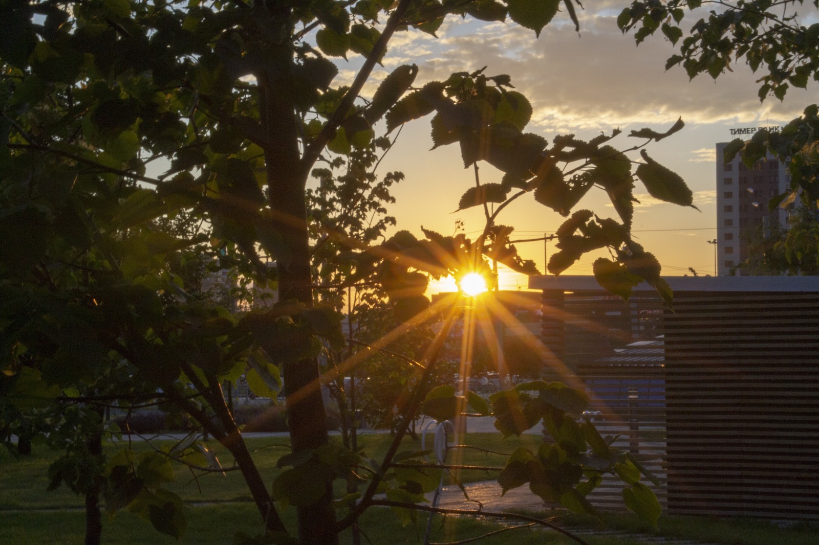 Photo from the walk - My, The photo, Manual optics, Jupiter-37, Jupiter 21M, Nikon, Nikon d3100, Longpost