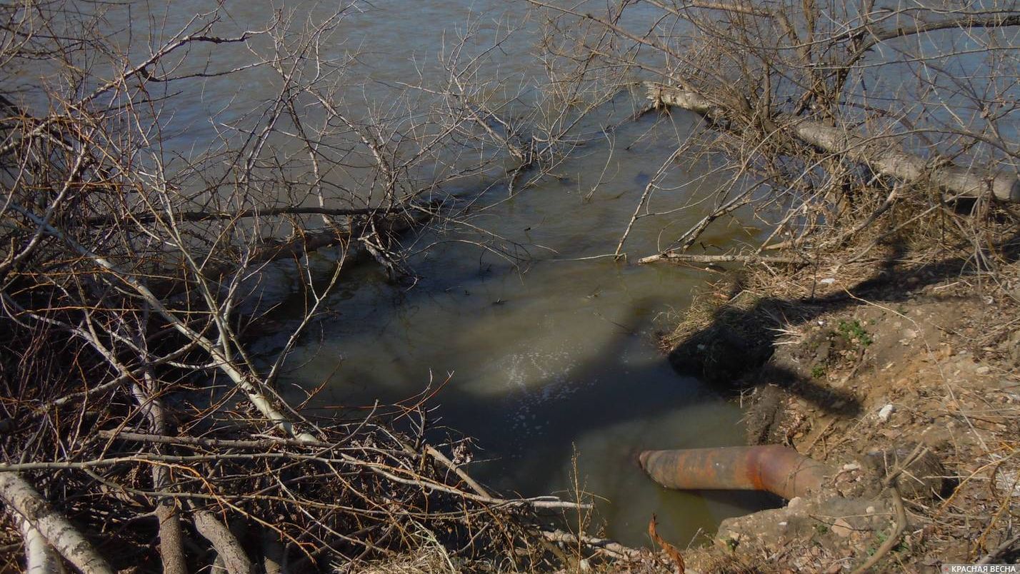 A city near Moscow has been draining sewage into the river for eight years - shit flows into the Klyazma, Oka and Volga - My, Staraya Kupavna, Sewerage, , Igor Sukhin, Politics, Longpost, Wastewater treatment plants