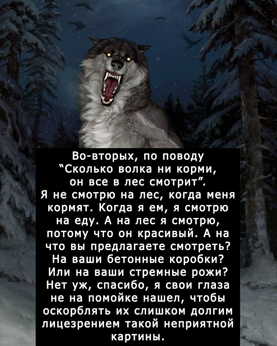 Объяснить слово волком. Поговорки про Волков. Шутки про Волков. Стишки про волка в лесу. Смешные стишки про волка.