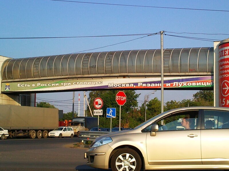 Lukhovitsky cucumber. - My, Lukhovitsy, Vegetables, Cucumbers, Longpost, To drink in St. Petersburg, Moscow region, Ryazan