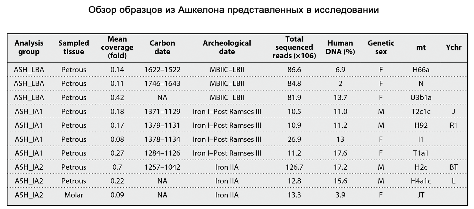 European Genetic Roots of the Philistines of the Early Iron Age - My, Video, Longpost, The science, Archeology, Paleogenetics, Philistines, Story, DNA, GIF