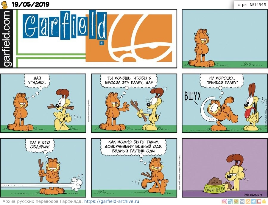 Translated by Garfield, May 19, 2019 - My, cat, Garfield, Translation