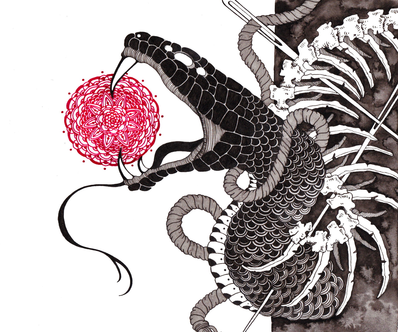 My illustrator