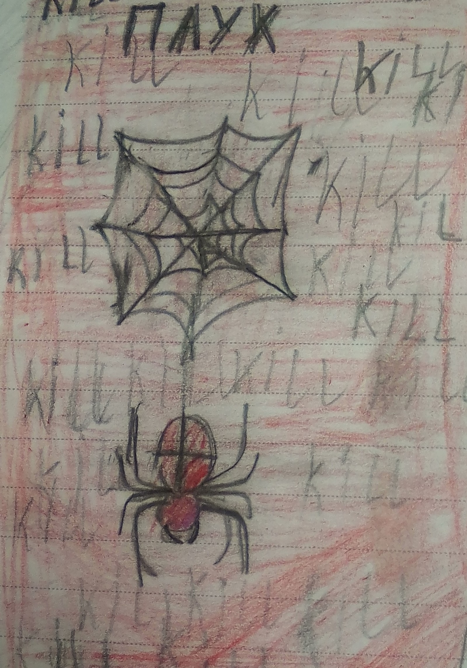 Spider - Spider, Learning to draw