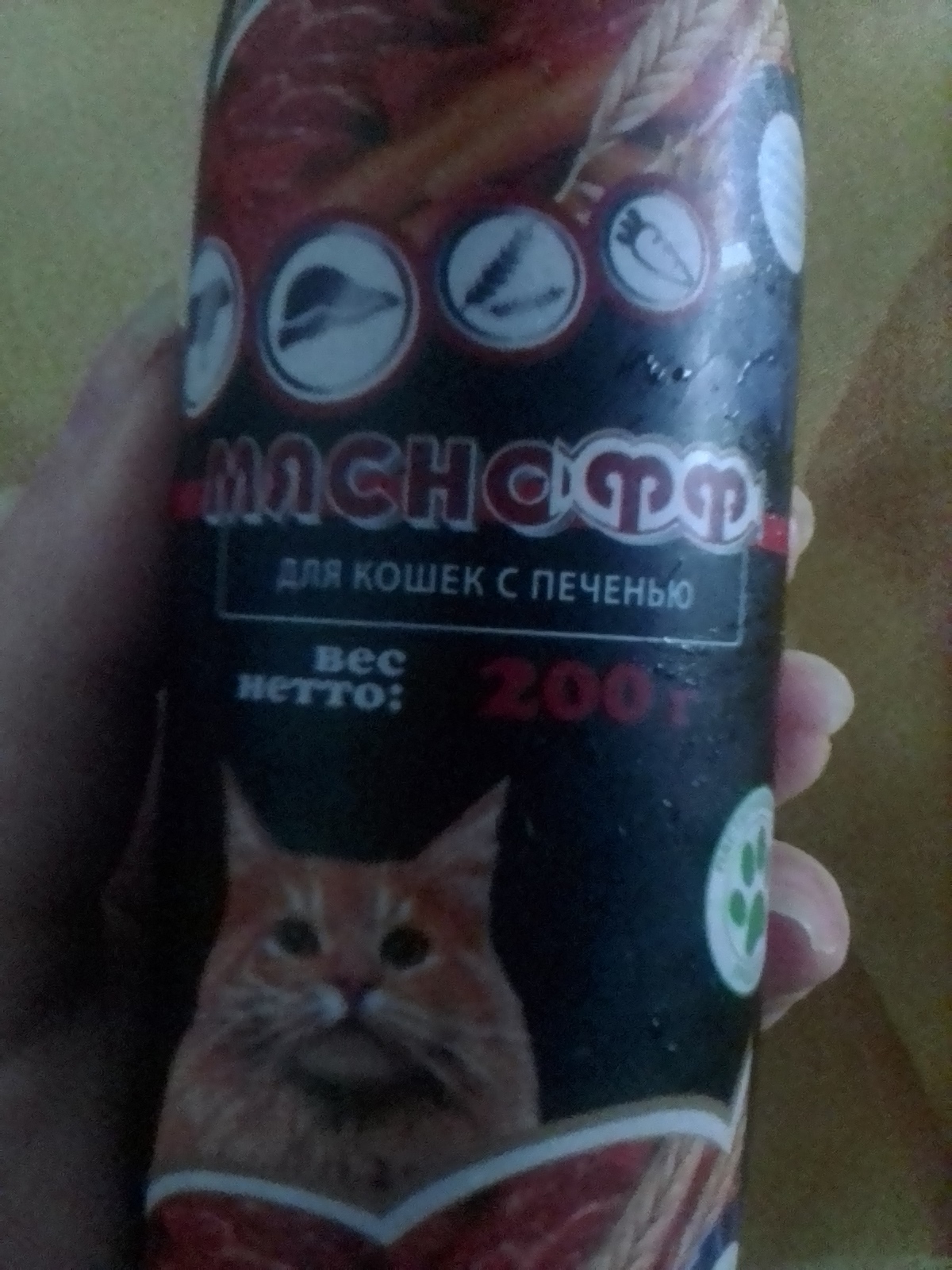 Basic equipment of a cat - My, Cat's food, The photo, cat