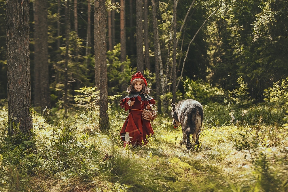 New colors in an old story - Little Red Riding Hood, PHOTOSESSION, Cosplay, A selection, Wolfhund, Dogs and people, Longpost