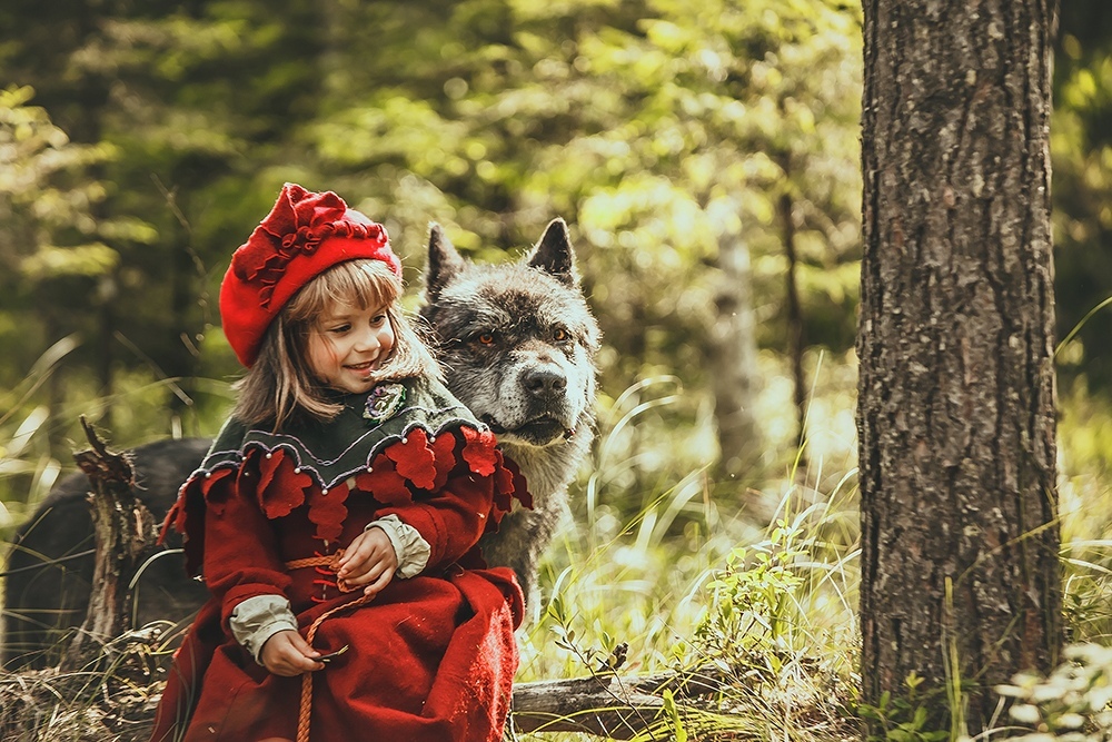 New colors in an old story - Little Red Riding Hood, PHOTOSESSION, Cosplay, A selection, Wolfhund, Dogs and people, Longpost