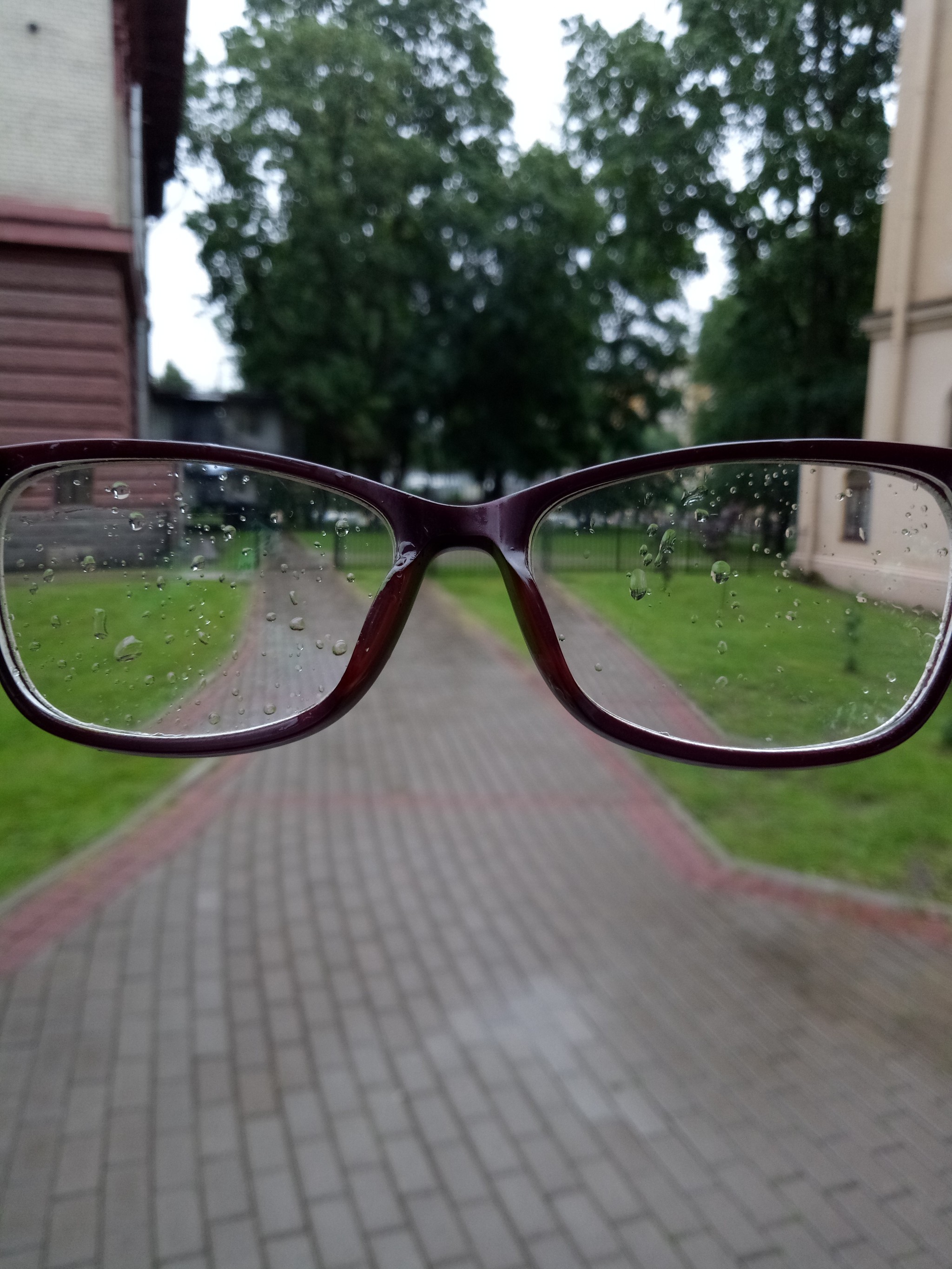 The world through the eyes of a bespectacled man - My, Glasses, The photo