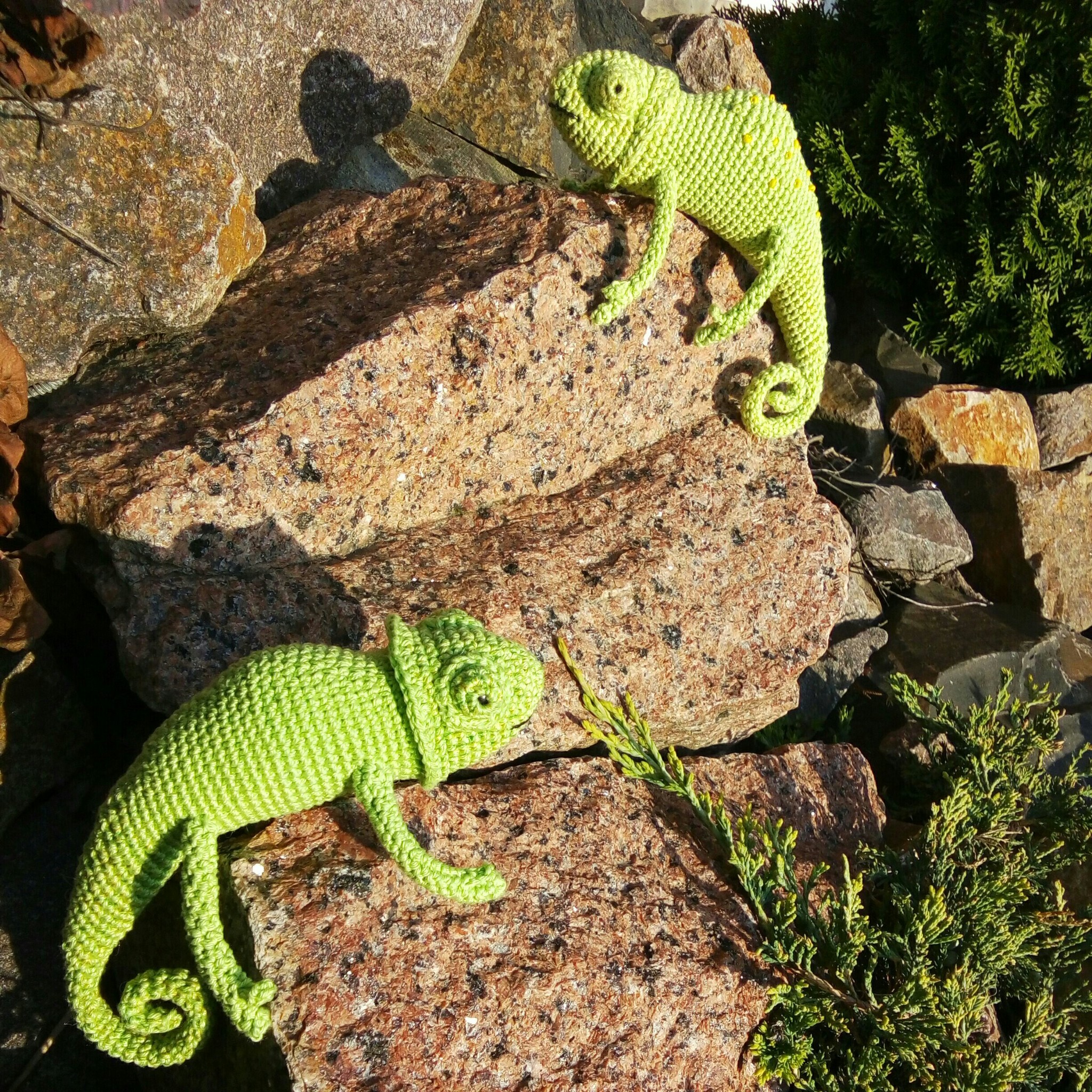 Chameleons - My, Knitting, Amigurumi, Needlework without process, Chameleon