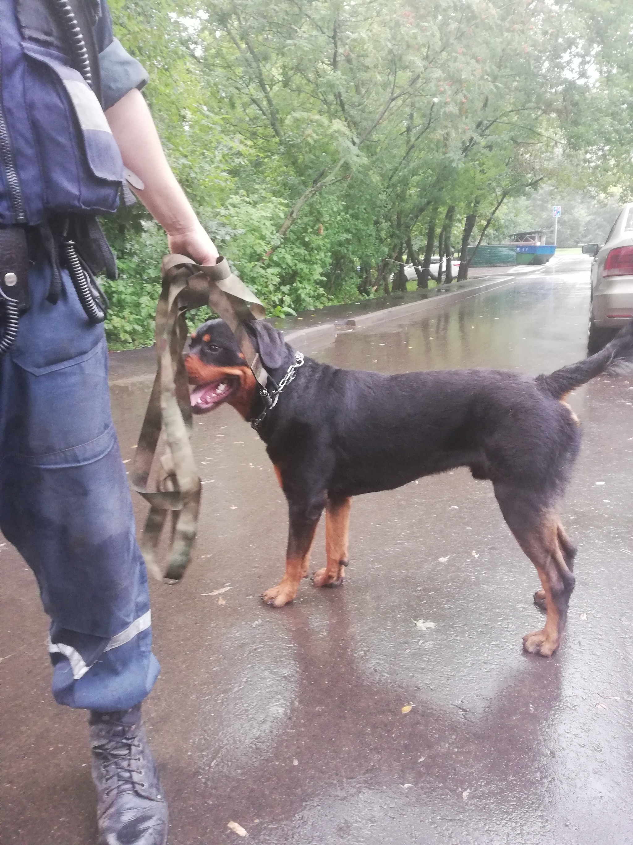 Address book, telephone. - My, Ministry of Emergency Situations, Moscow, Dogs and people, Longpost, Dog, Kindness, Animal Rescue