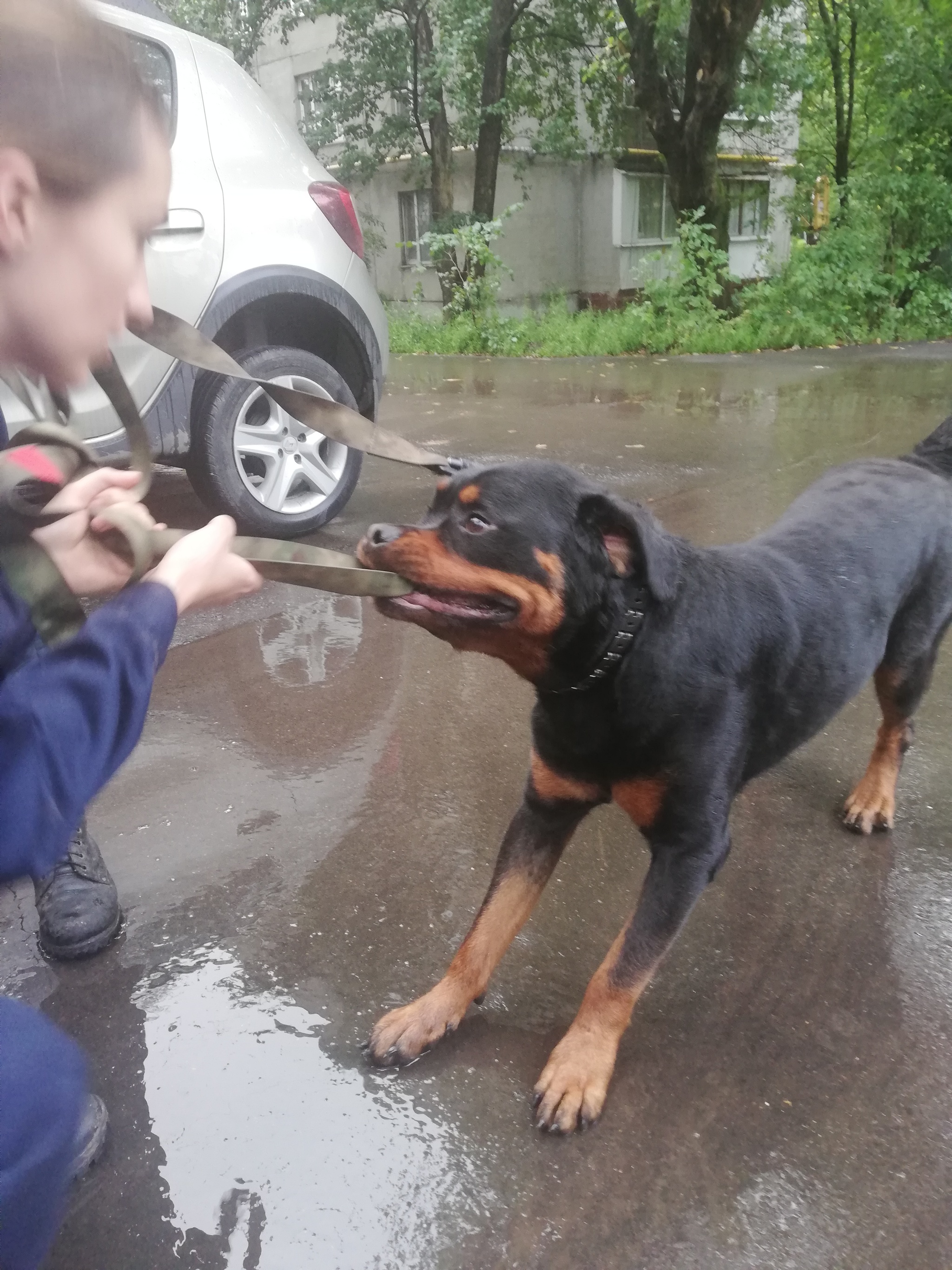 Address book, telephone. - My, Ministry of Emergency Situations, Moscow, Dogs and people, Longpost, Dog, Kindness, Animal Rescue