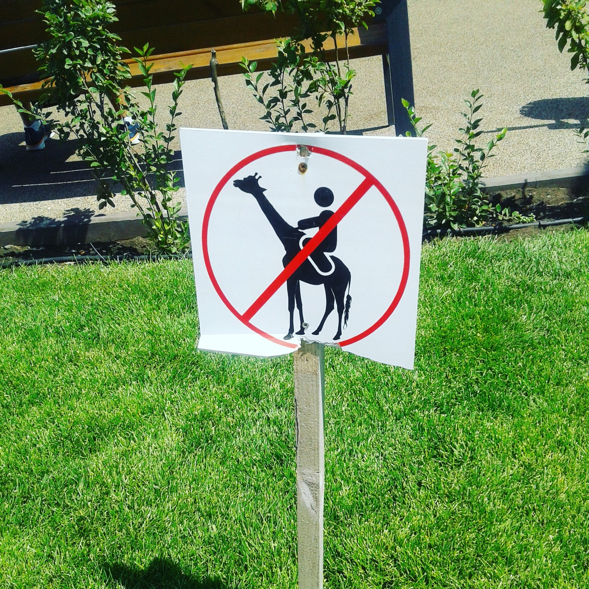 There are only prohibitions around - My, Signs, Mariupol, The photo, Giraffe