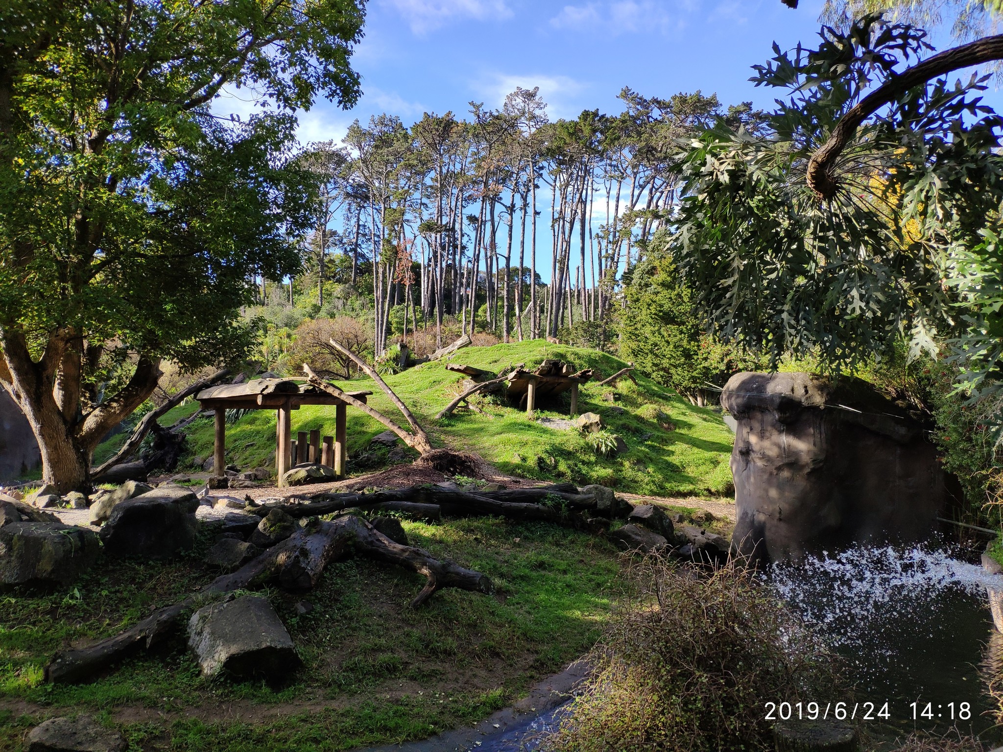 Auckland Zoo. - My, New Zealand, Zoo, Nature, Walk, Longpost