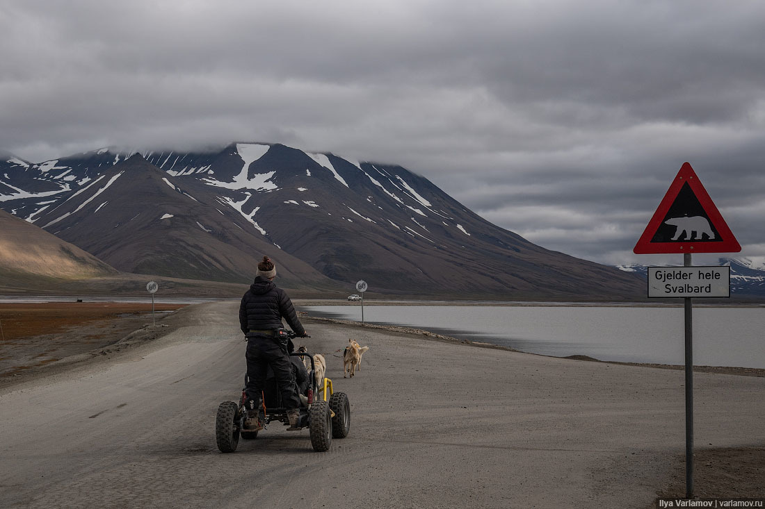 Svalbard: almost ours - My, Norway, Island, Nature, Travels, Spitsbergen, Longpost