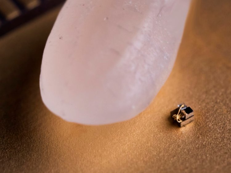 Nanocomputer next to a grain of rice - Computer, Nanotechnology, The size, Rice, Corn, Microfilming, Computer hardware, Technologies