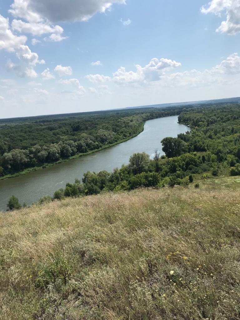 Piece of summer - My, Alloy, Don River, Longpost