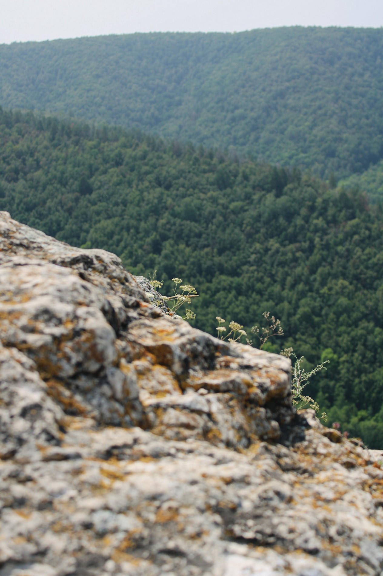 Zhiguli. - My, Samara, Samarskaya luka, Zhiguli, The mountains, The photo, Nature, Canon, Reserve, Longpost, Reserves and sanctuaries