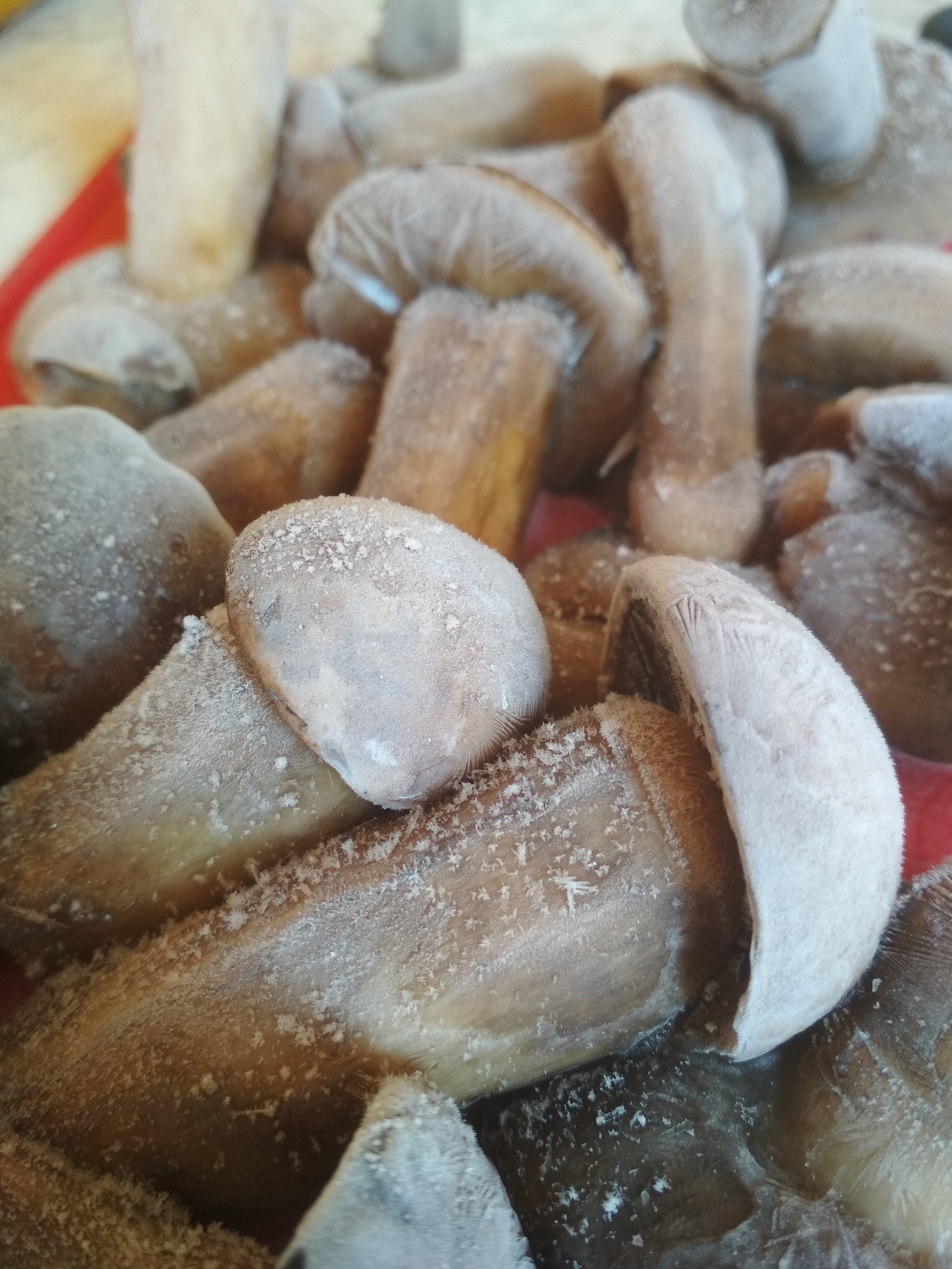 frozen mushrooms - My, Mushrooms, Freezer