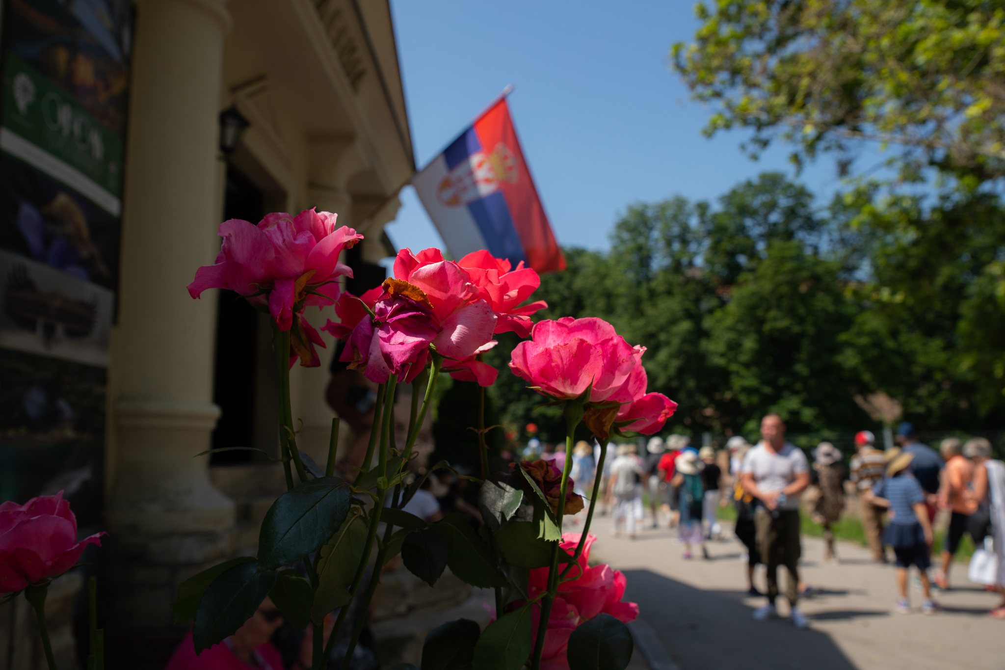 Белград - Моё, Фотография, Длиннопост, Сербия, Белград