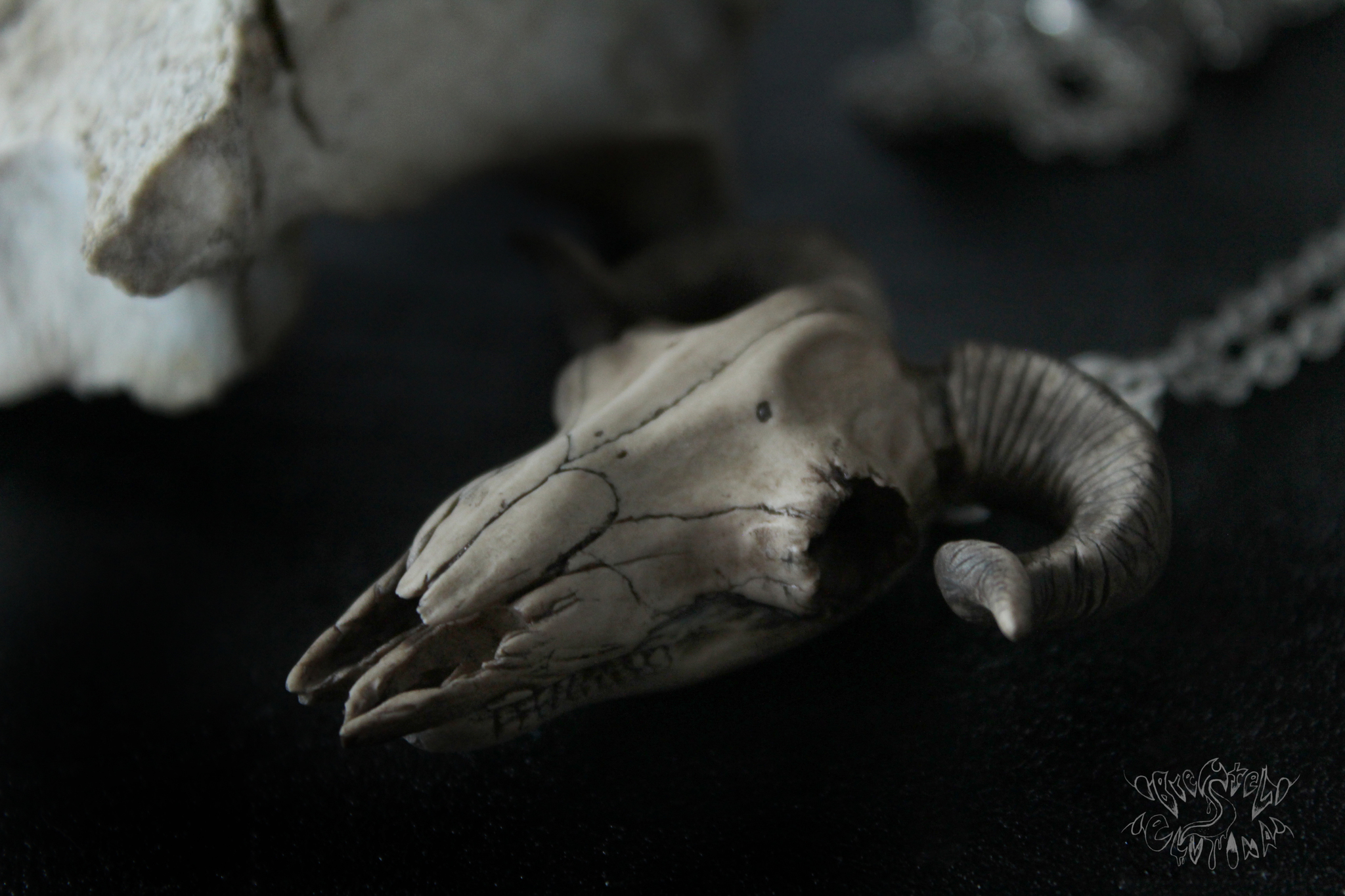 Sheep skull made of polymer clay - My, Polymer clay, , Scull, Needlework without process, Longpost