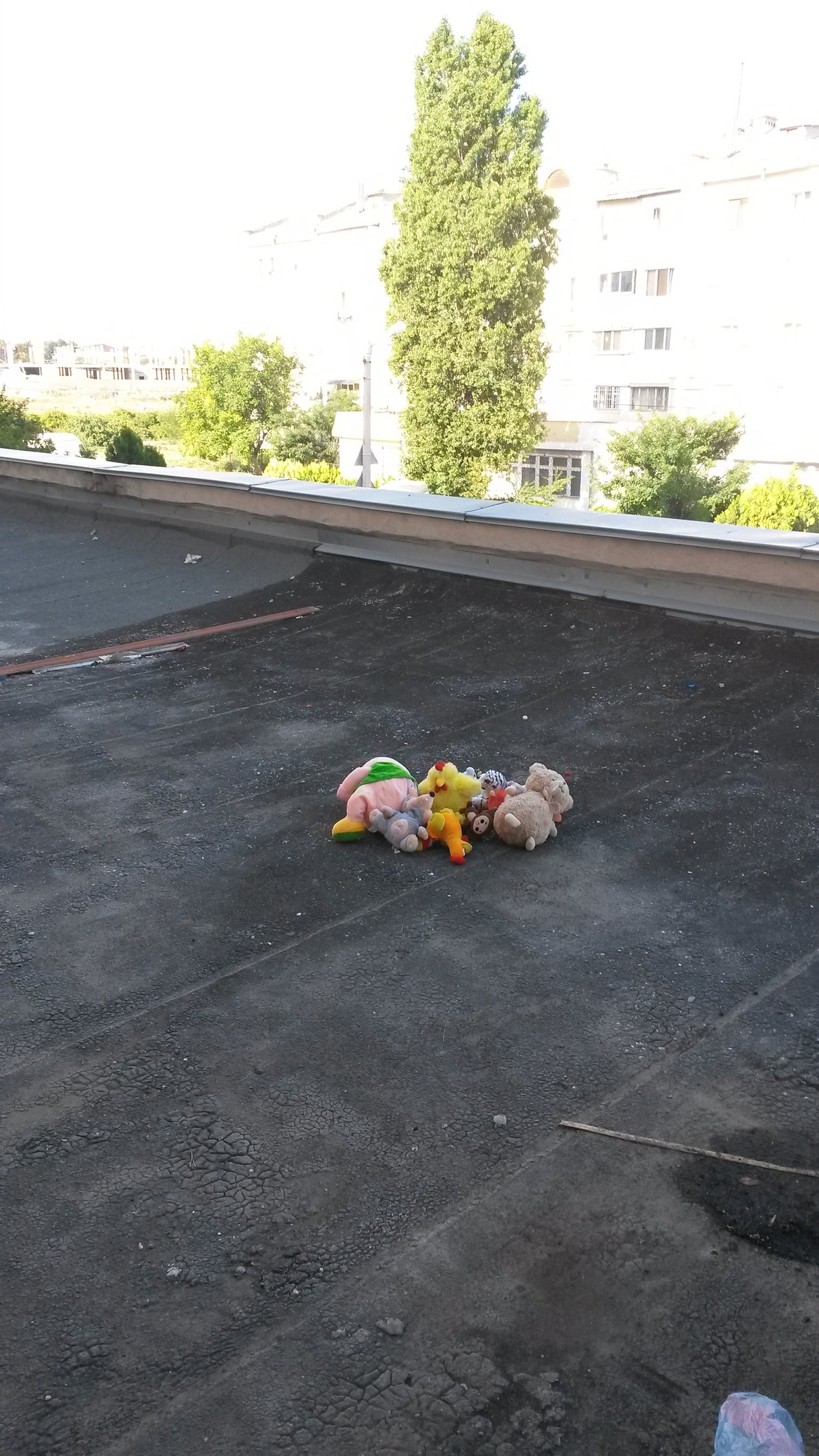 Oops!.. - My, Toys, Roof, Longpost