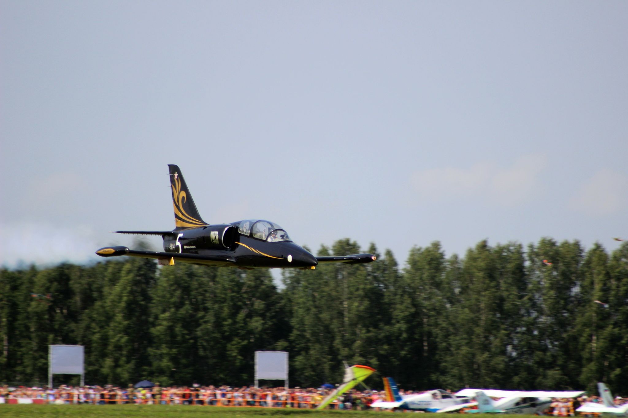 Airshow in Mochische, Novosibirsk region, 2019 (21 photos) - My, Su-35, l-39, Mi-24, Airshow, Novosibirsk, Longpost, Canon 600D, Airplane, The photo