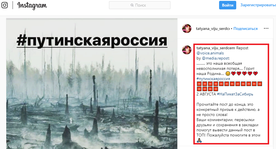 Idiots or provocateurs? - Rally, Instagram, Twitter, Fire, Siberia, Politics