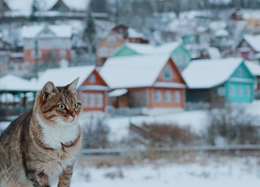 Where does the mysterious Russian spirit hovers? - The photo, Russia, Village, The nature of Russia, beauty, Mentally, Longpost