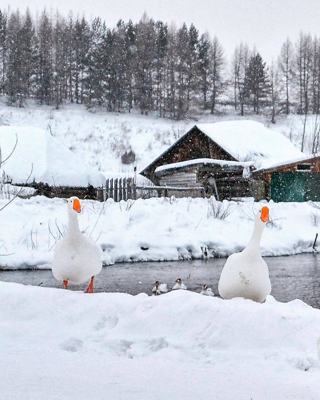 Where does the mysterious Russian spirit hovers? - The photo, Russia, Village, The nature of Russia, beauty, Mentally, Longpost