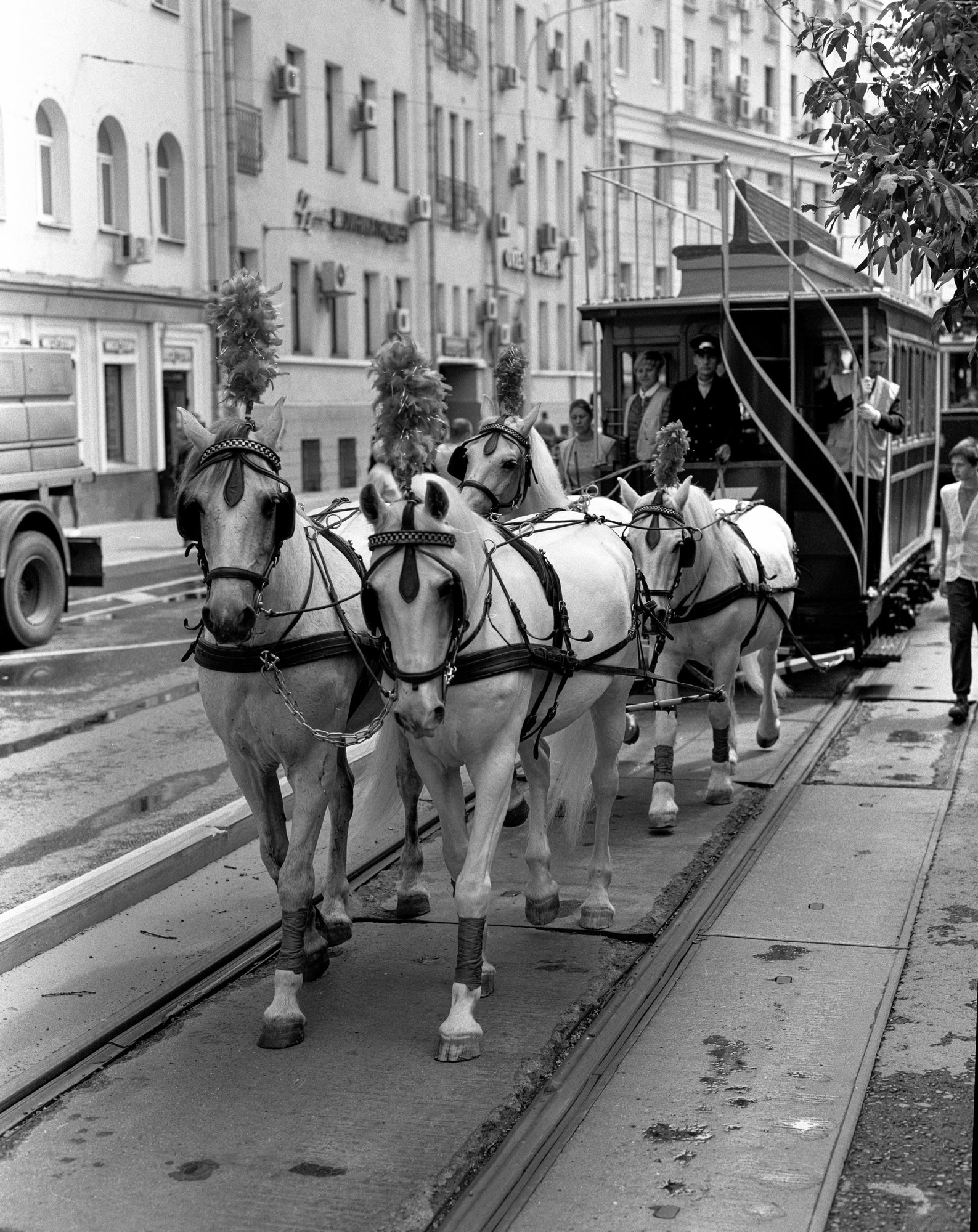 Second parade of trams - My, The photo, Pentax 67, Black and white photo, Medium format, Longpost