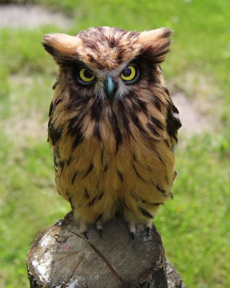 Fish owl. From wool. Wallow. Handmade. - My, Needlework without process, Dry felting, Creation, Needlework, Toys, Handmade, Birds, Longpost