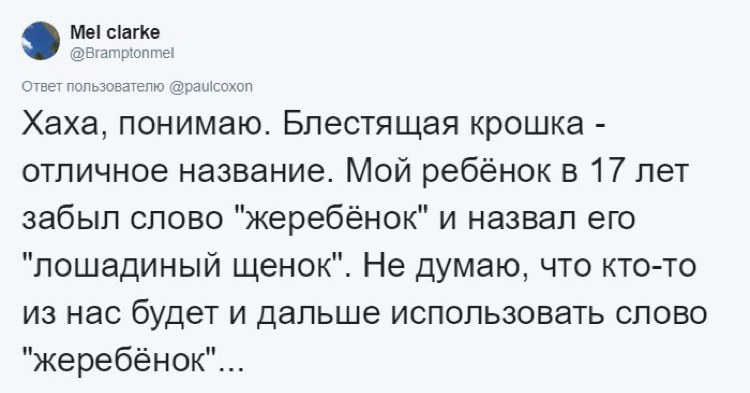 С каждым такое было - Смех, Twitter, Склероз, Фотография, Длиннопост