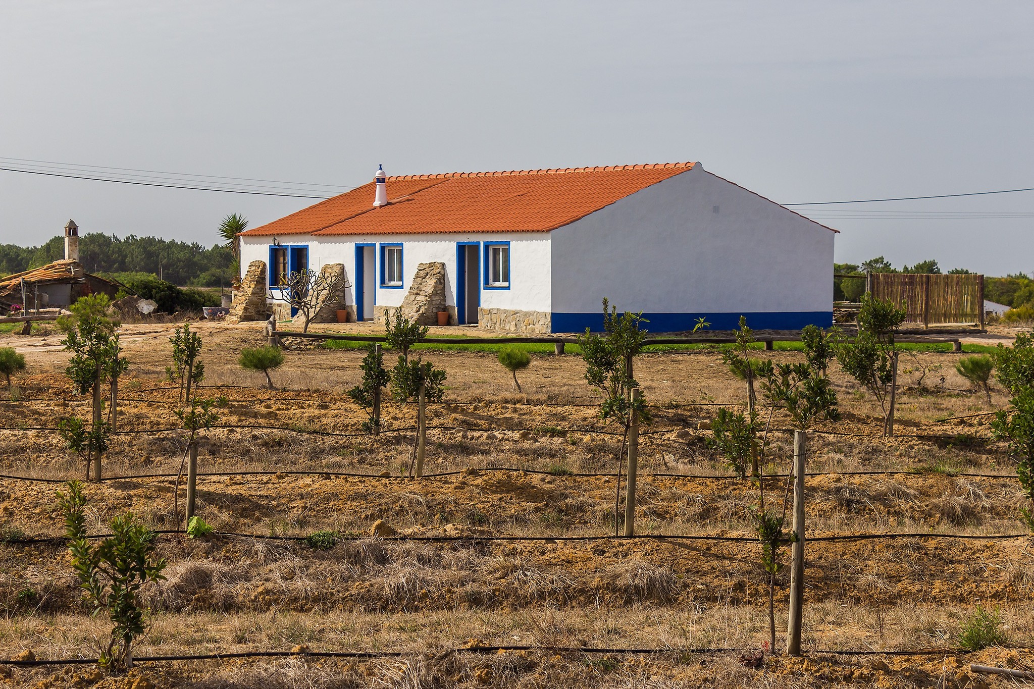 Fourth day on Rota Vicentina: what is there besides the ocean - My, Travels, The photo, On foot, Hiking, Europe, Portugal, Nature, Ocean, Longpost