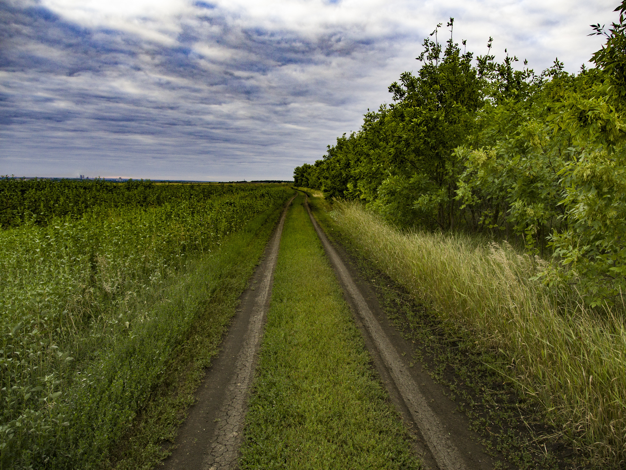 Bicycle ride for work for 120 km. - My, Bike ride, Abandoned, Longpost