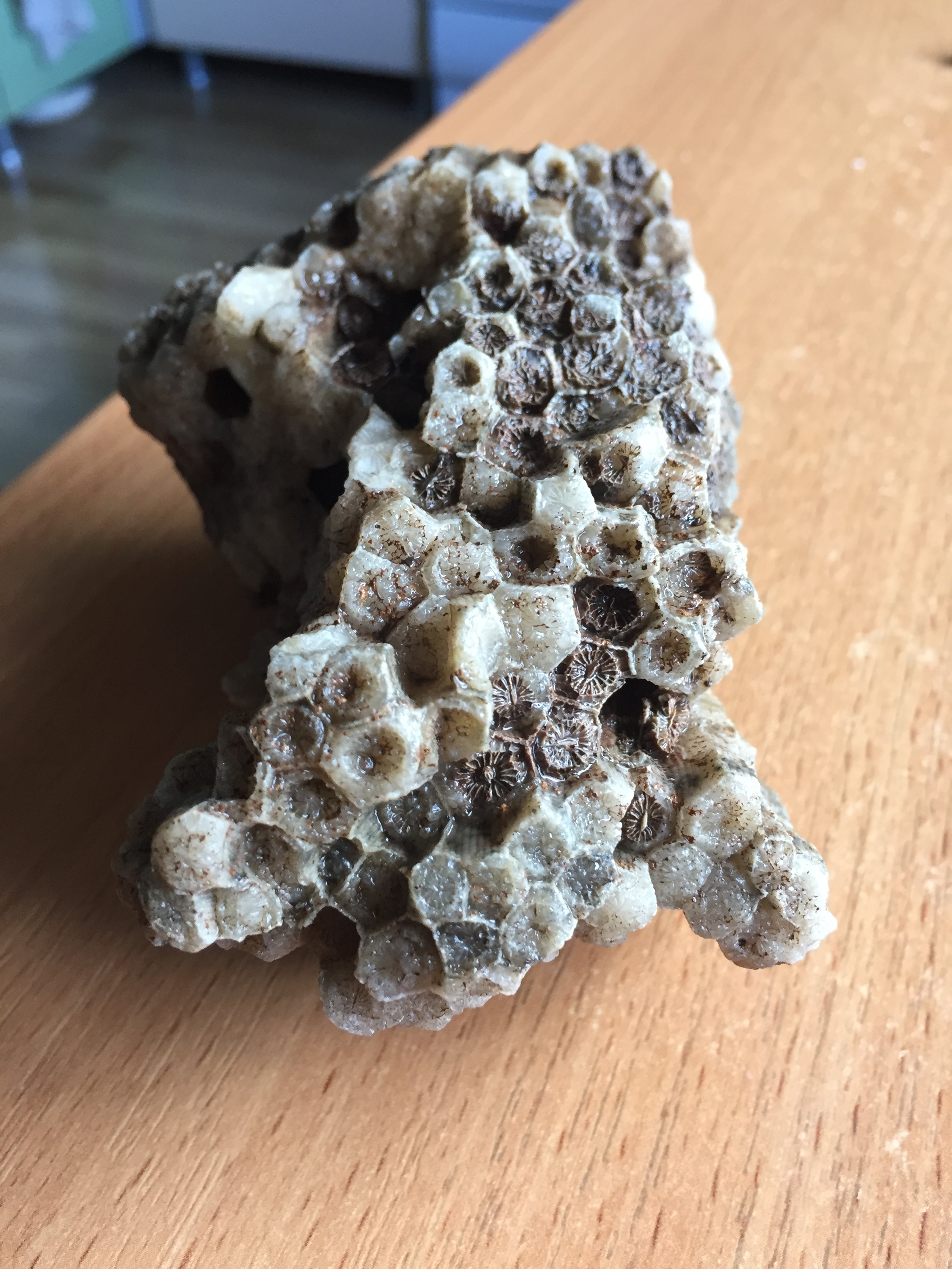 Interesting stone in the form of honeycombs - My, Natural stones, Bees, Longpost