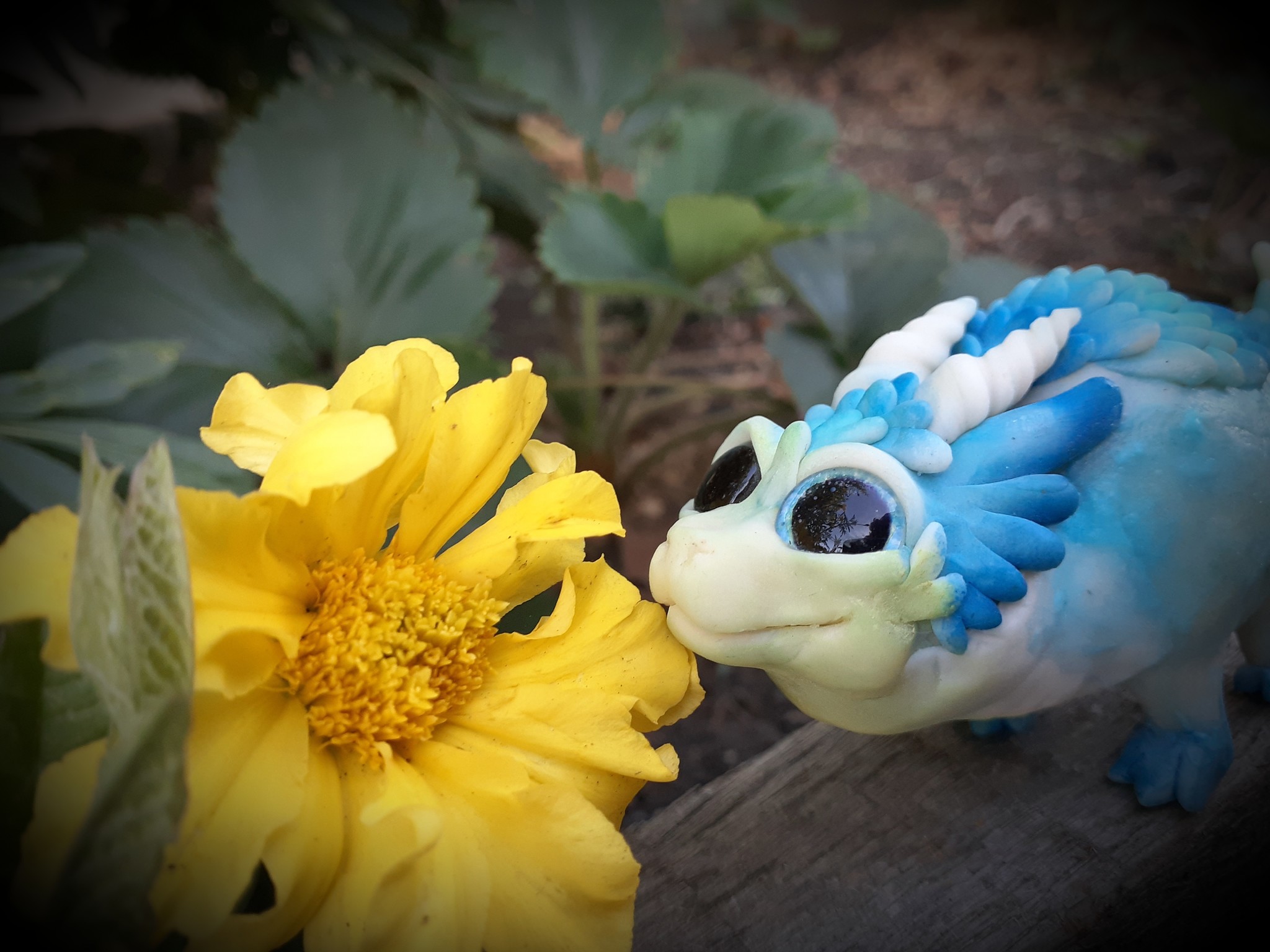 Cute animal made of polymer clay :) - My, Polymer clay, Author's toy, , Longpost, The Dragon