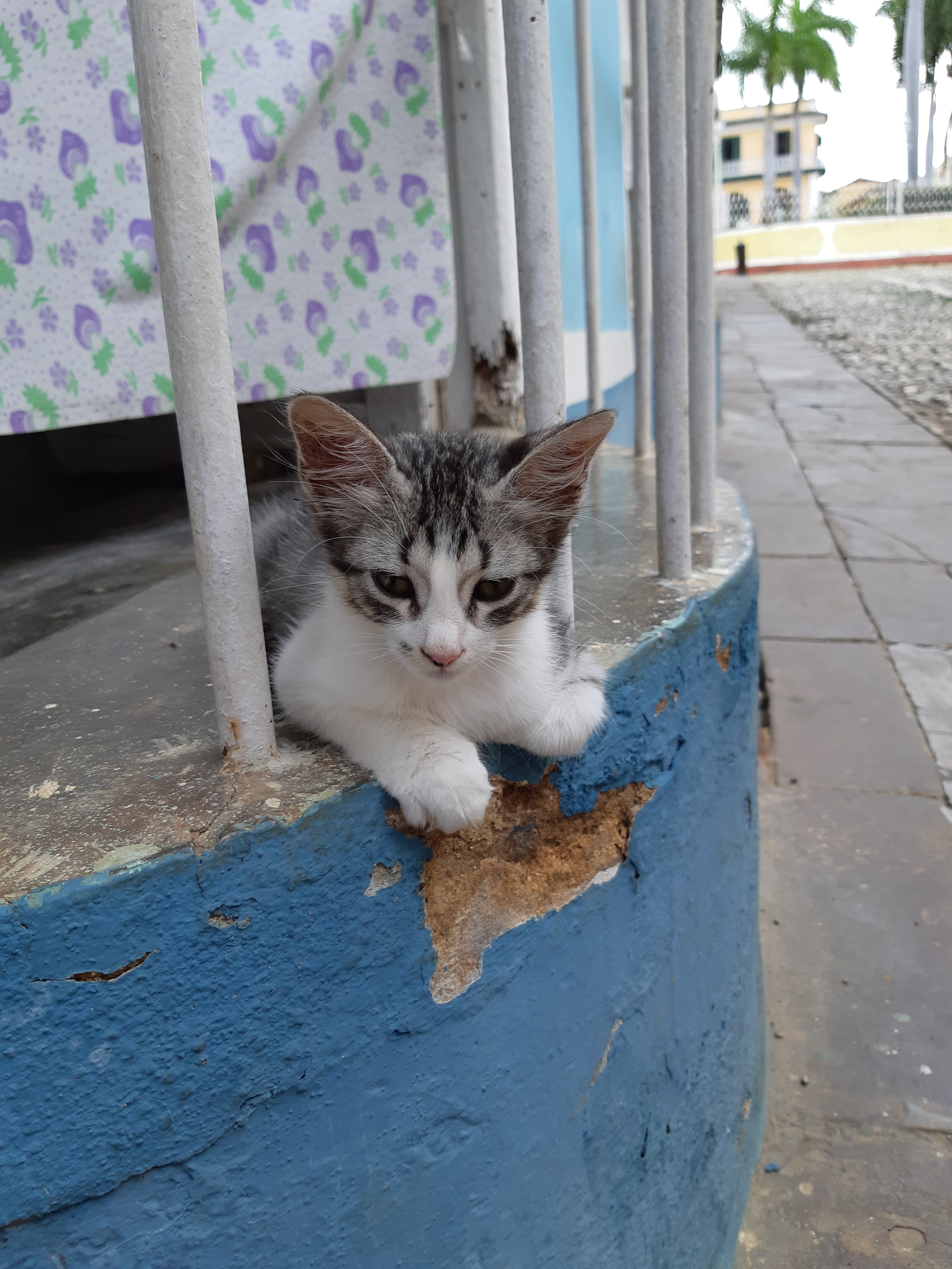 Cuba - My, Cuba, Photo on sneaker, The photo, Travels, Nostalgia, Longpost